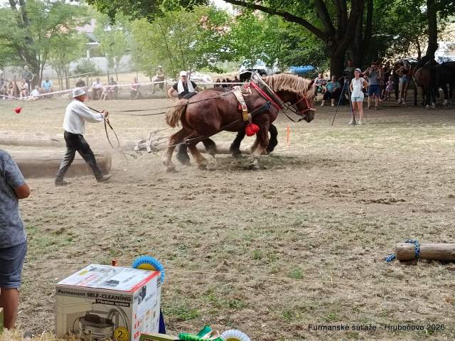 IMG_20260801_155606